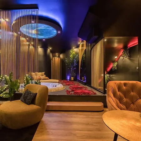 Insolite Privatif étoilée Albi